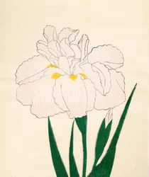 En-Yo-No-Ten, nr 73, 1890 (drzeworyt kolorowy)