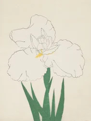 Fuji-brak śniegu. 13, 1890 r
