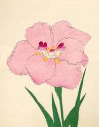 Gofukushoshu, nr 86, 1890 (kolorowa odbitka drzeworytnicza)