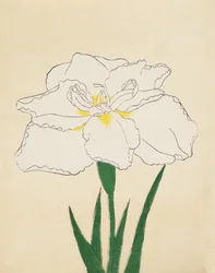 Haku-O-Den, nr 40, 1890 (kolorowy drzeworyt)