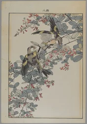 Dwa ptaki z różowymi kwiatami, okres Meiji, ok. 1868-1912 (kolorowa odbitka drzeworytnicza)