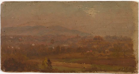 Bez tytułu, ca. 1875-1880.