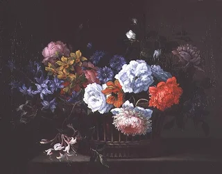 Martwa natura