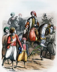 Mehemet Ali proclame vice roi d