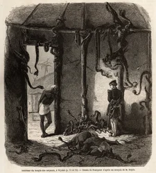 Wewnątrz świątyni węży fetiches, w Wydah, w Dahomeju (dzisiejszy Benin), rysunek Jean Antoine Foulquier (1822-1896), ilustrujący podróż doktora Repina do Dahomeju w 1860 roku. Grawer w „”Le tour du monde” ”, pod redakcją Edouarda Chartona