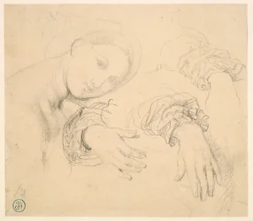 Arkusz studiów z przełożonym Fornarina i rękami Madame de Senonnes