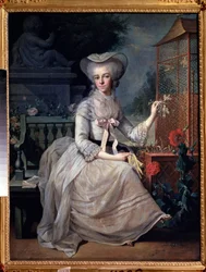 „Młoda dama w klatce” (Młoda dama w klatce) Obraz Jean-Baptiste (Jean Baptiste) Charpentier (1728-1806) 1784 Muzeum Puszkina, Moskwa