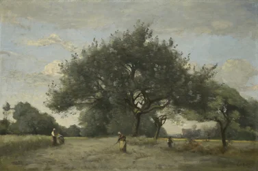 Jabłonie na polu, ok. 1865?-70