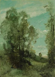 Treescape (rano)