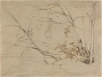 Kępka drzew w Civita Castellana, 1826.