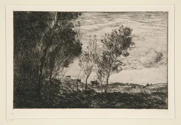 Dans les Dunes: pamiątka du bois de la Haye (W wydmach: Pamięć lasów Hagi)
