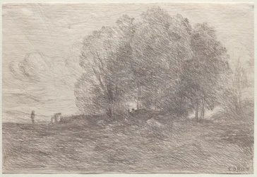 Grupa Drzew, 1858.