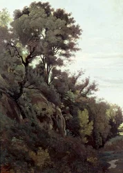 Marino - Drzewa i skały