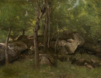 Skały w lesie Fontainebleau
