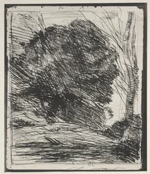 Drzewa na Górze, nadruk oryginalny 1856, wydrukowany w 1921 r.