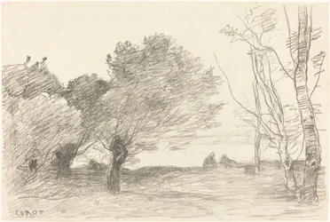 Wierzby i białe topole Saules et peupliers blancs, 1871.
