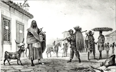 Dom do wynajęcia, konie i kozy na sprzedaż, z „Voyage Pittoresque et Historique au Bresil”,