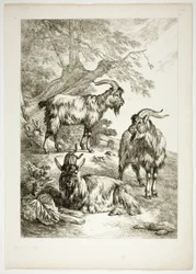 Tablica siedemnasta z 38 z Oeuvres de J. B. Huet