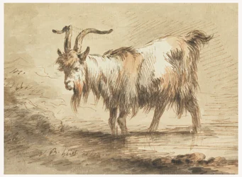 Rysunek, Studium kozy, 1772 r.