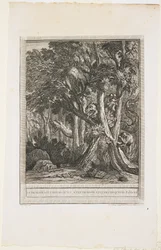 Smok o wielu głowach, bajka XII, ok. n.e. 1753-1755