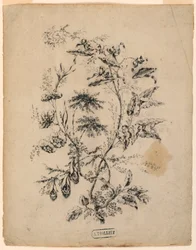 Rysunek, Konar fantastycznego drzewa, 1775-1800