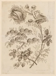 Gałązka Kwiatów, z „Cahier de Fleurs Singuliers”