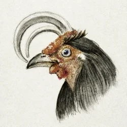 Głowa koguta (1816)