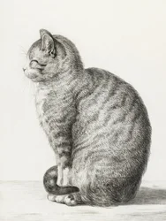 Siedzący kot (1815)