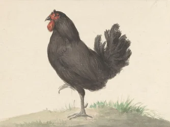 Stojąca czarna kura (1775-1833)