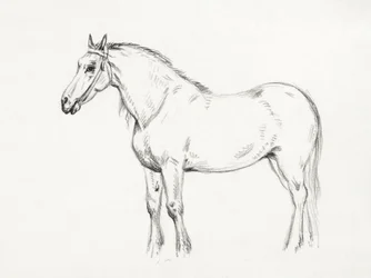 Stojący koń (1818)