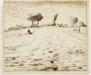 Krajobraz - Wzgórze w Gruchy, Normandia