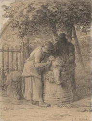 Strzyżenie owiec pod drzewem, ok. 1854 (kredka Conté z długopisem i brązowym tuszem i gwaszem na papierze)