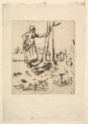 Gęsiareczka, 1830-75.