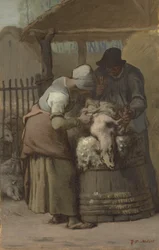 Strzygacze owiec, 1857-61