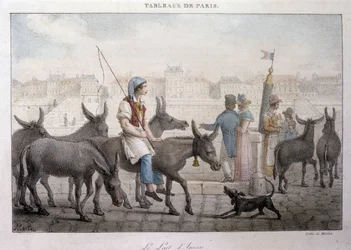 Dawny handel uliczny w Paryżu: kupiec oślego mleka (Ane dans Paris) - rycina Jean Henry Marlet (1771-1847) w „”Les Tableaux de Paris””, seria 72 rycin, koniec XIX wieku