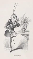 Stary Motyl ze Scen z Prywatnego i Publicznego Życia Zwierząt, ca. 1837-47.