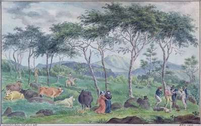 Stado bydła z pasterzami w pobliżu rzeki na wschód od Ile de la Reunion, październik 1812