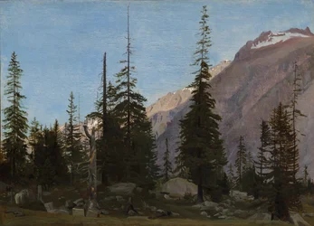 Krajobraz alpejski: The Handegg, Szwajcaria