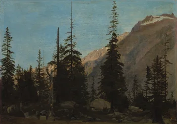 Krajobraz alpejski: The Handegg, Szwajcaria, lata 50. XIX wieku.
