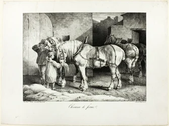 Konie hodowlane
