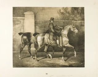 Dwa konie prowadzone przez dżokeja