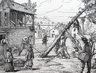 Sadzenie Maypole