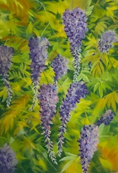 Kwiaty i liście glicynii 2, 2023 (pastel na papierze)