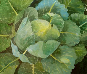 Kapusta (niebieska), 2014 (akryl na płótnie)