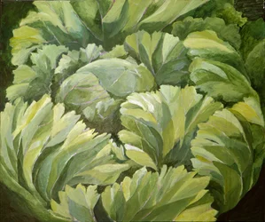 Kapusta, 2013 (akryl na płótnie)