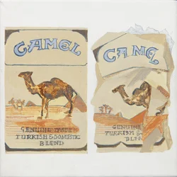 Paczki papierosów Camel