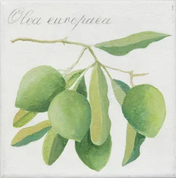 Zielone oliwki (akryl)