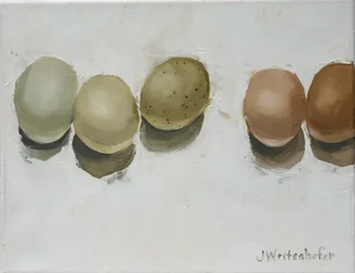 Jajka z Bretanii