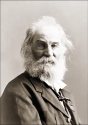 Portret Walta Whitmana (1819 - 1892) autorstwa Gurneya w latach 1880-1890.