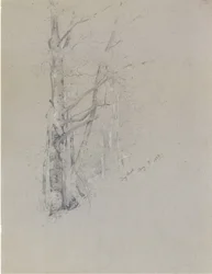 Suchy potok, 1888.